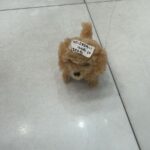 عرض 2 فطعة كلب لعبة بيتحرك  - 2PCs cute puppy
