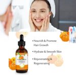 ⁦3 قطع من زيت يزور اليقطين⁩ - الصورة ⁦6⁩